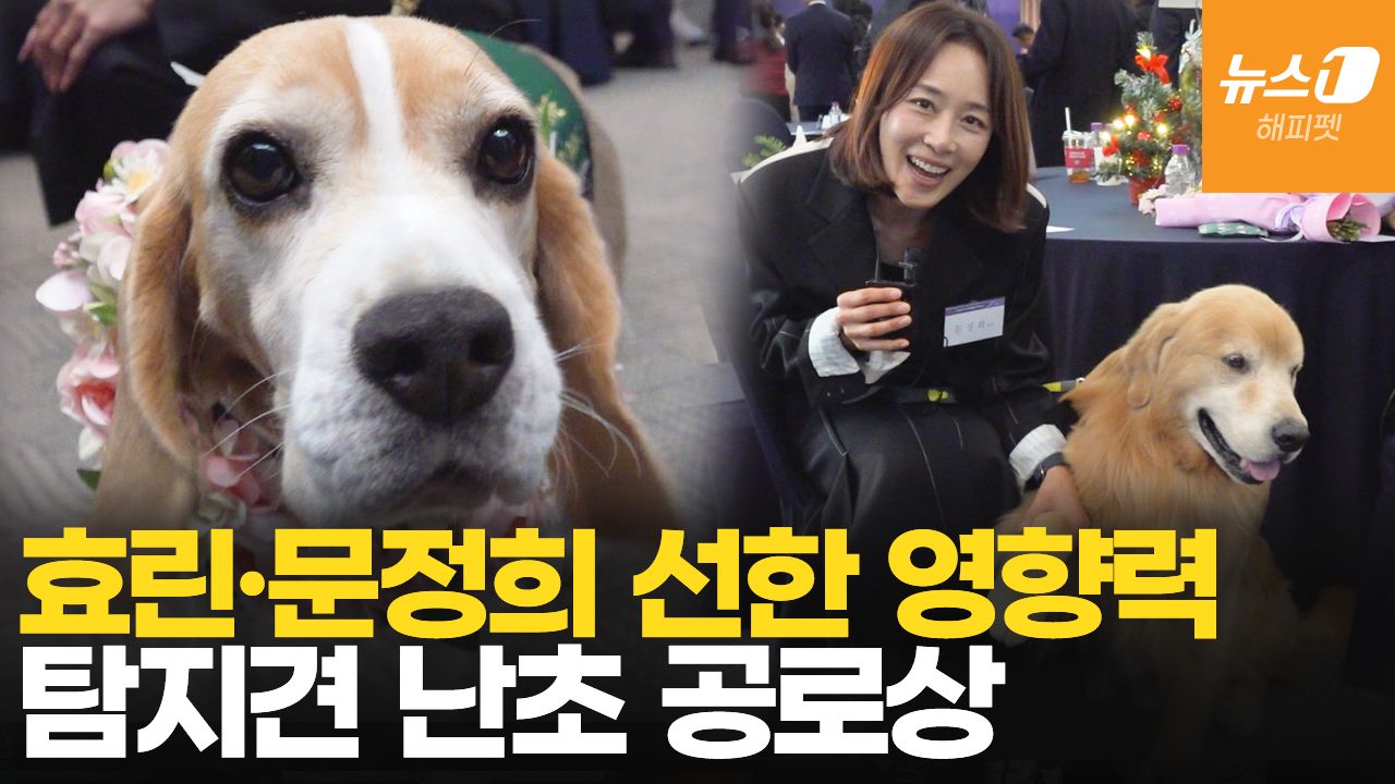 연관비디오 - 대한민국 반려동물 문화대상…"책임지는 펫문화 함께 만들자"