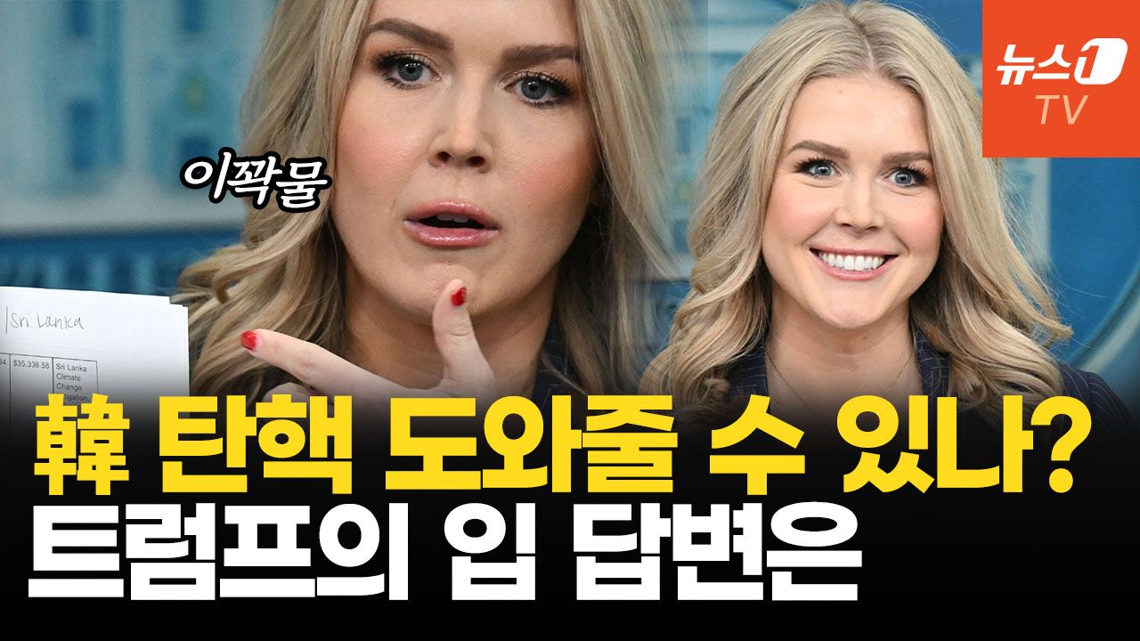 연관비디오 - "혼란한 한국이 트럼프 지원 필요로 하면?"…최연소 '트럼프의 입' 답변은