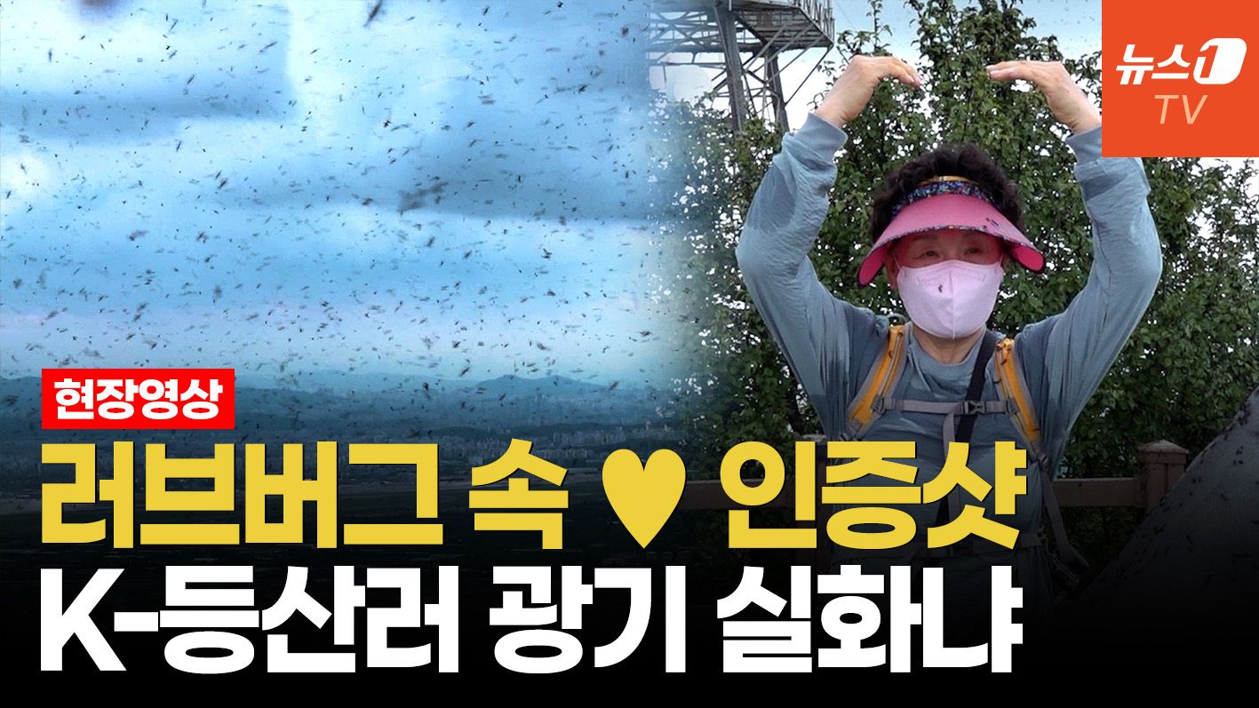 연관비디오 - [르포] "이 정도면 해충 맞다"…15cm 쌓인 러브버그 사체, 산 전체 악취