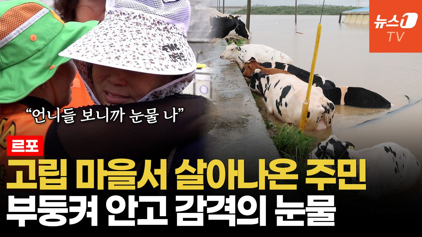 연관비디오 - [르포] "소가 물에 둥둥, 마을 참혹"…삽교천 고립 마을 필사의 탈출기