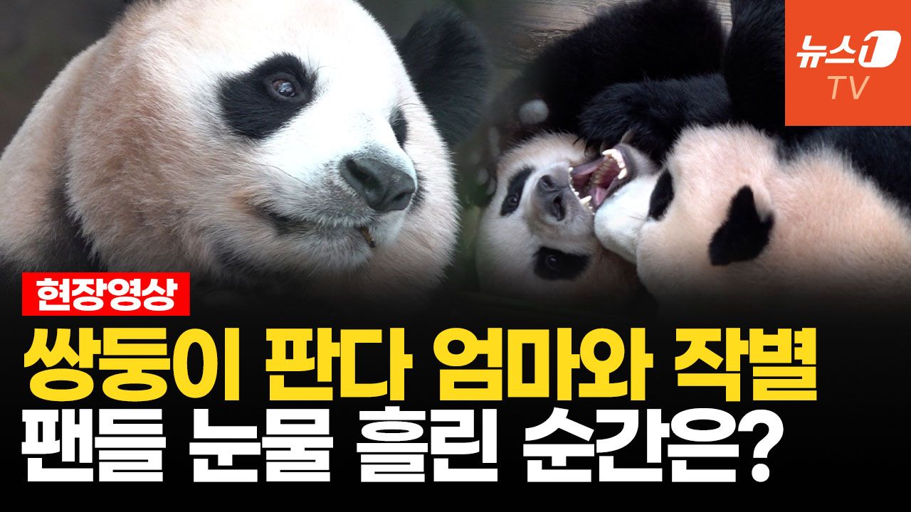 연관비디오 - 엄마 품 떠나는 날…아·루·후 마지막 완전체 모습 보려 몰려든 팬들