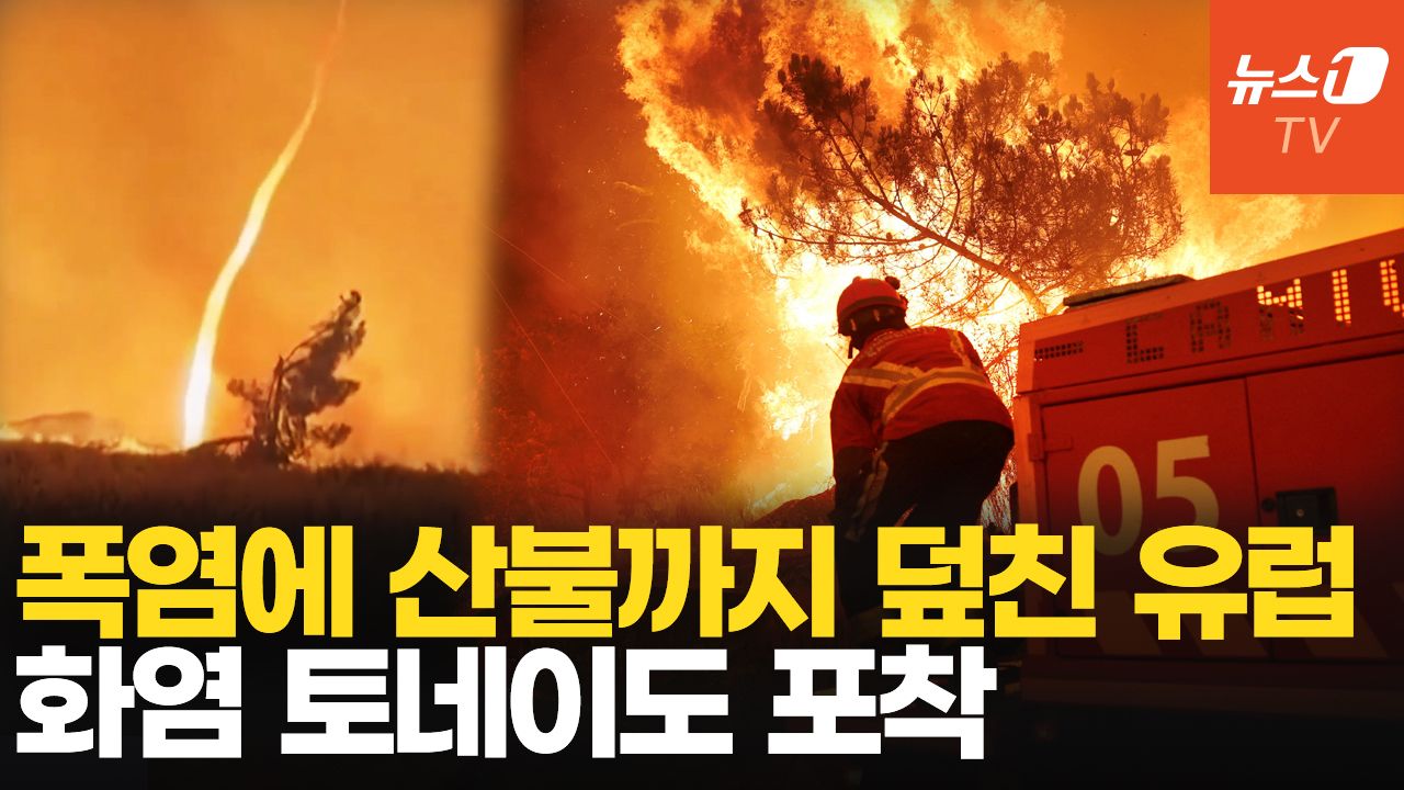연관비디오 - 시뻘건 불길에 경찰차도 후퇴…속수무책 산불에 군 병력 투입