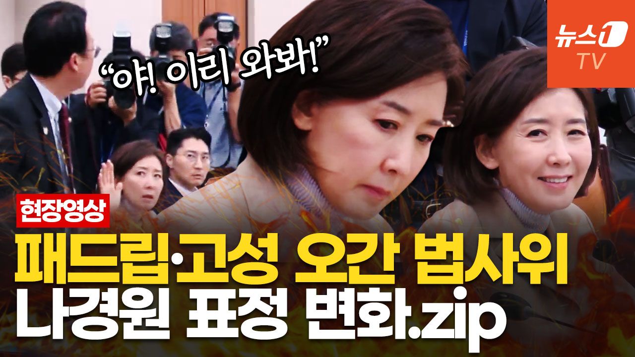 연관비디오 - 나경원 감싸다 법사위 '발칵'…곽규택, 사별한 박지원에 "사모님 뭐하세요?"