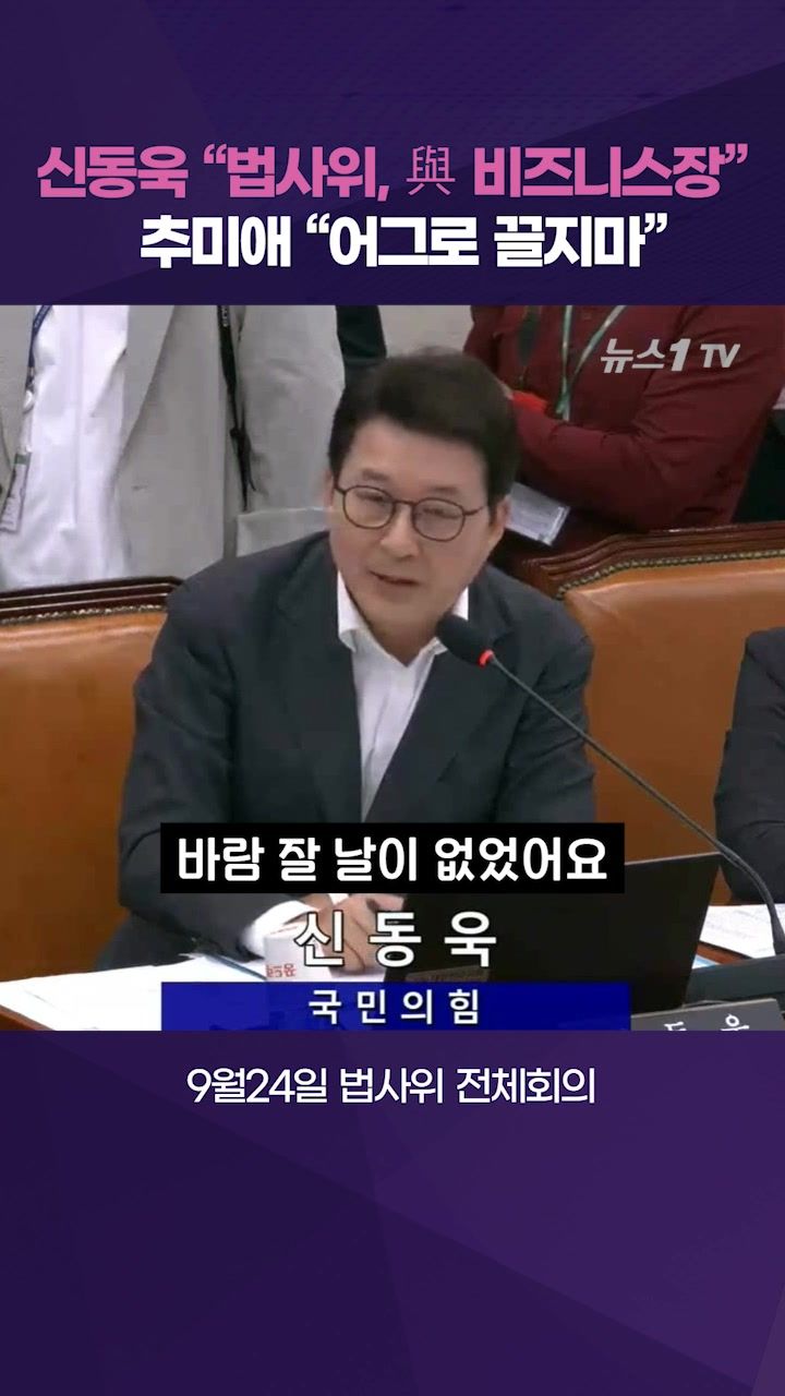연관비디오 - "법사위, 與 정치 비즈니스장" vs "유튜브 즐기는 발언 삼가해" 