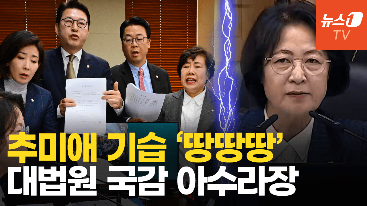 연관비디오 - 난장판 된 법사위 현장 국감…국힘 "이재명 대통령 구하기"