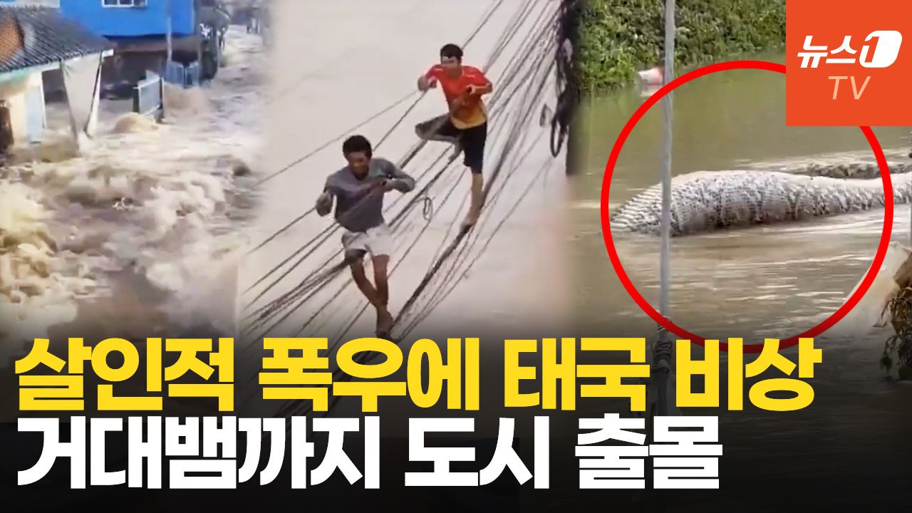 연관비디오 - 전깃줄 매달려 탈출…'물폭탄' 맞은 태국, 생사의 갈림길