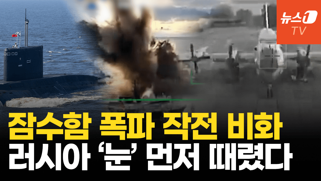 연관비디오 - 우크라, 잠수함 파괴 작전 전모…러 대잠 초계기 깡통 만들었다
