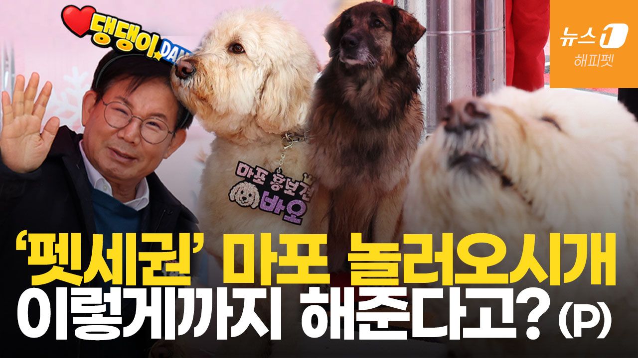 연관비디오 - "반려동물 요람서 무덤까지 완전 케어"…댕댕이에 진심인 서울 마포
