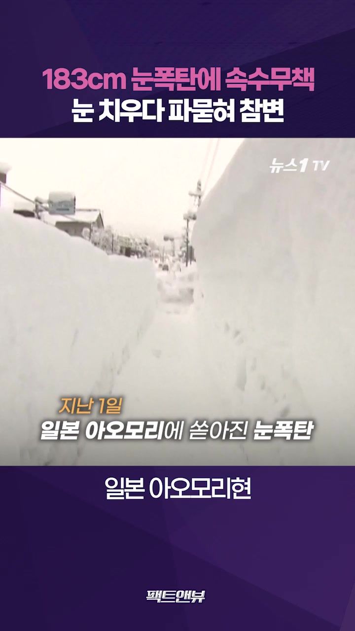 연관비디오 - 日아오모리 21년만 기록적 폭설…183cm 쌓인 눈에 속수무책