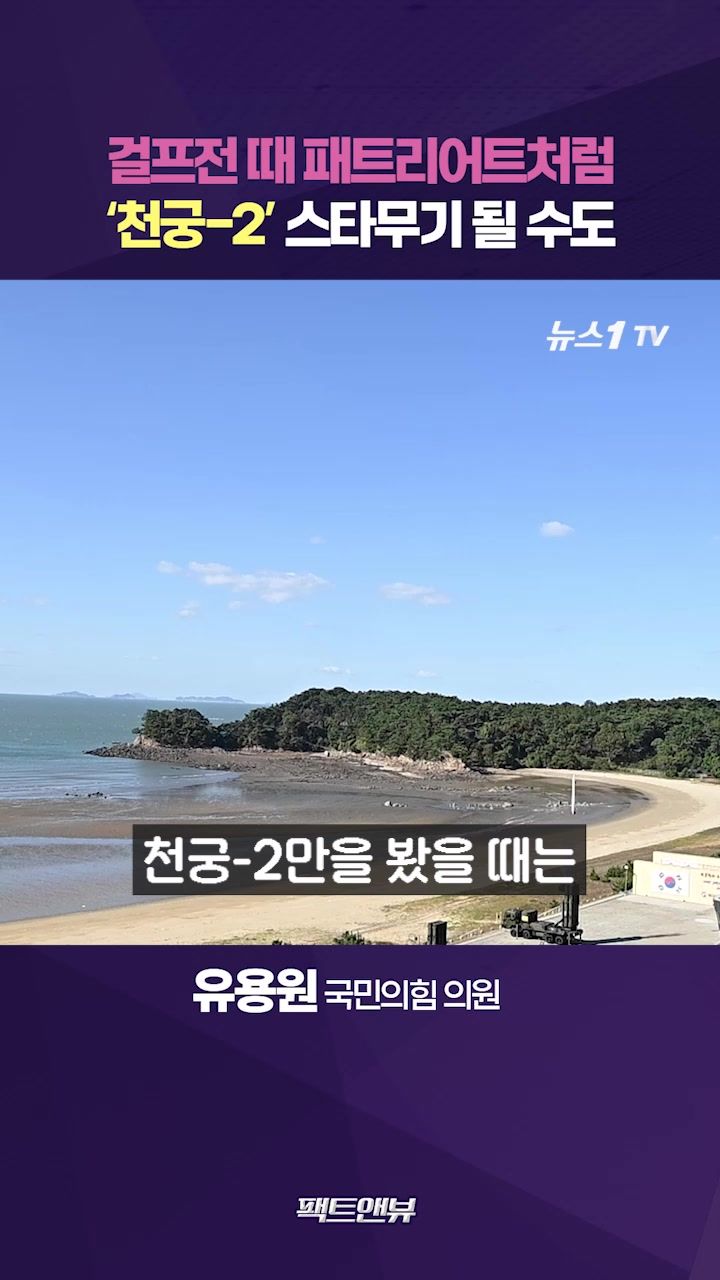 연관비디오 - 천궁-Ⅱ, 이란 순항미사일 100% 요격…스타무기 될 수도 [팩트앤뷰 유용원]