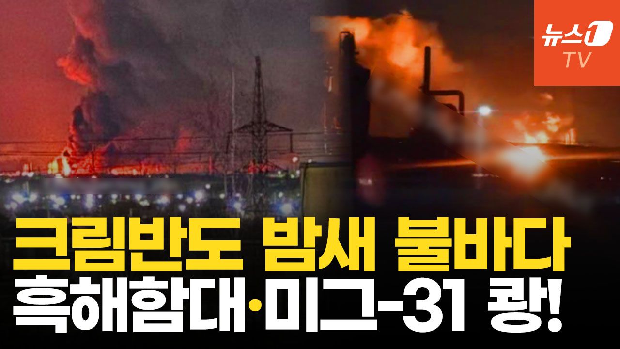 연관비디오 - 흑해함대 핵심 전력 줄줄이 타격…우크라 드론, 러시아 후방까지 뚫었다