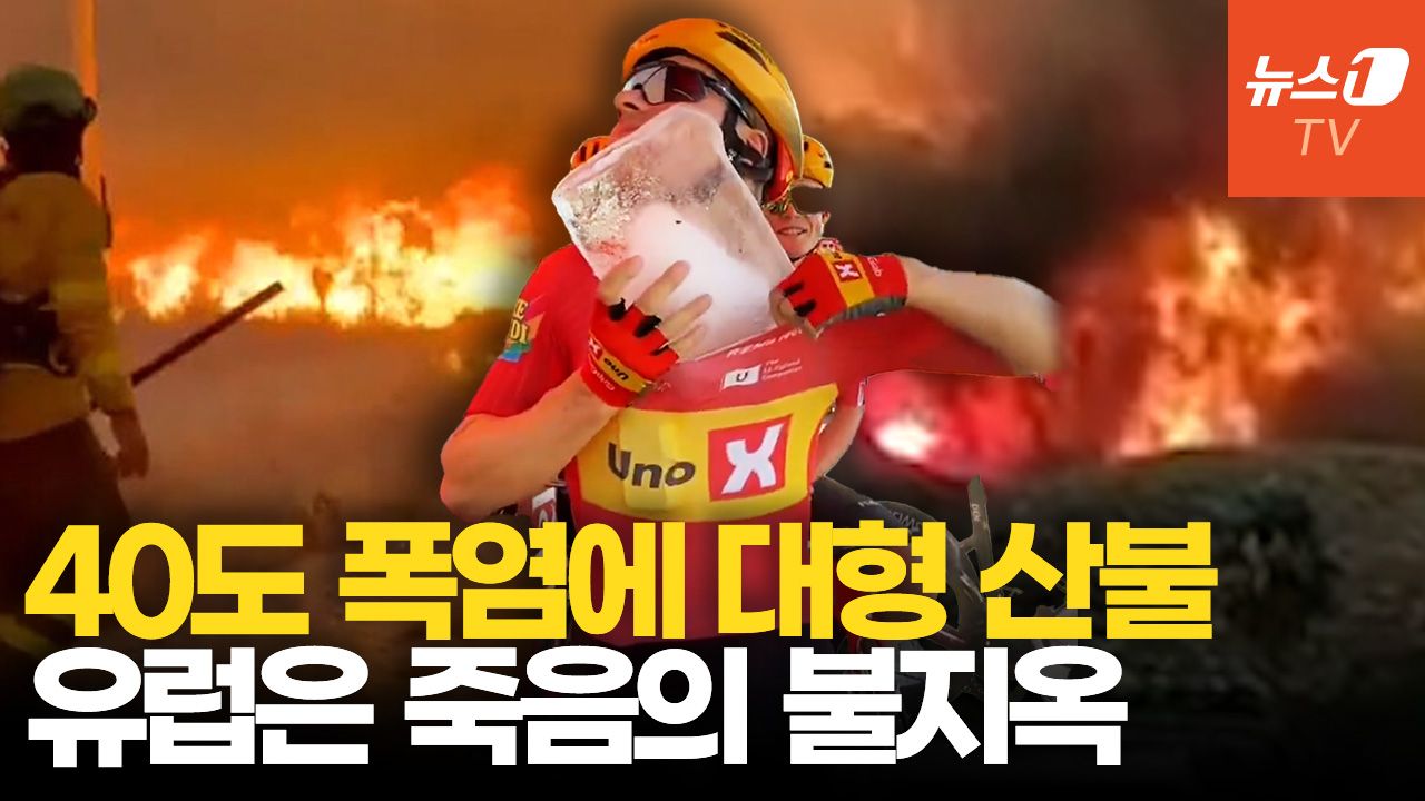 연관비디오 - '40도' 살인 더위 이어 산불에 타들어간다…폭염에 1만명 초과사망?