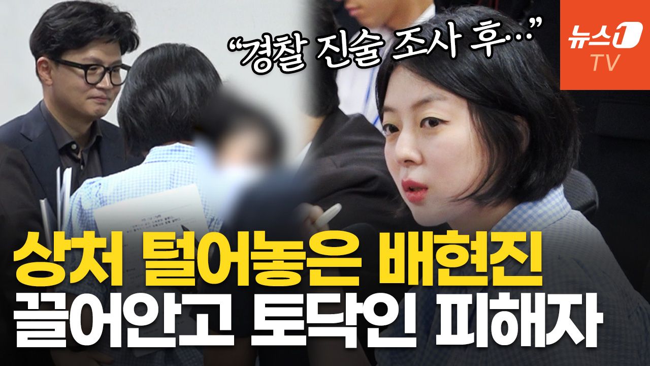 연관비디오 - 배현진 "나도 피해자…담당 경찰관, 블로그에 소설처럼 진술조사 게재해"