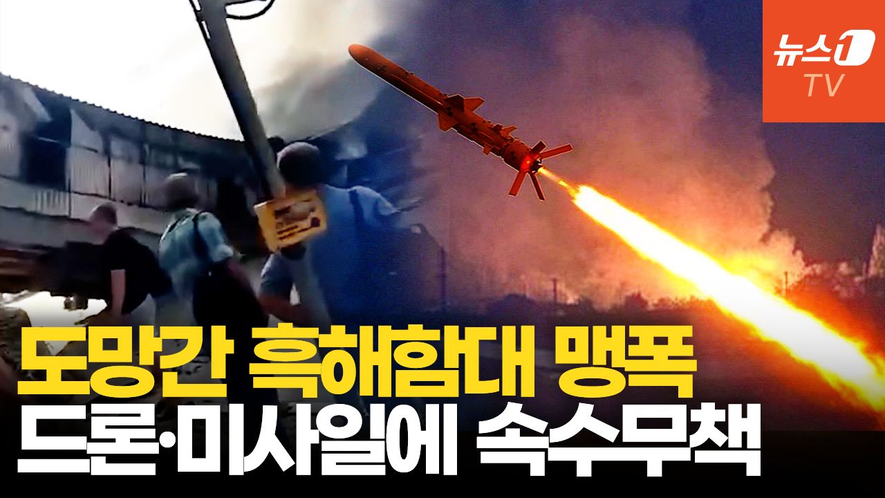 연관비디오 - 우크라, 흑해함대 마지막 거점 때렸다…러 군함 4척 명중
