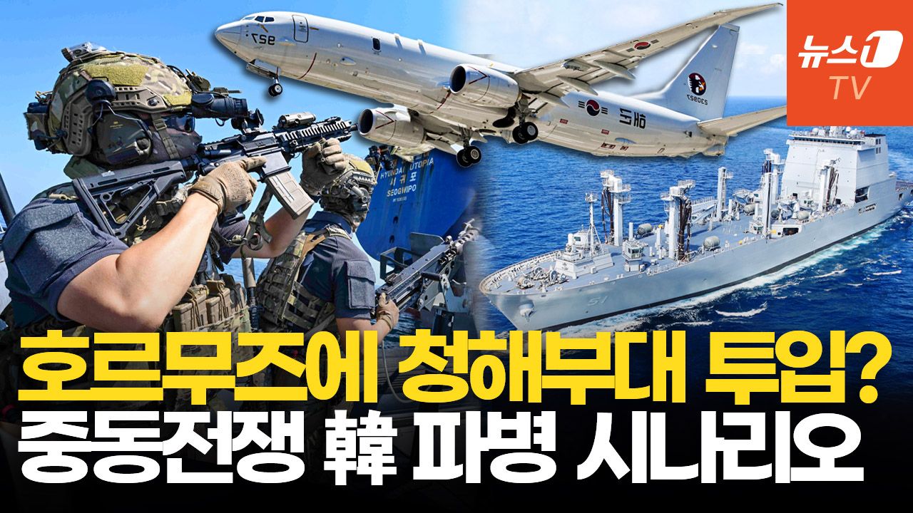 연관비디오 - 靑 "호르무즈 파병 검토"…군수지원함·초계기·EOD 전력 지원?