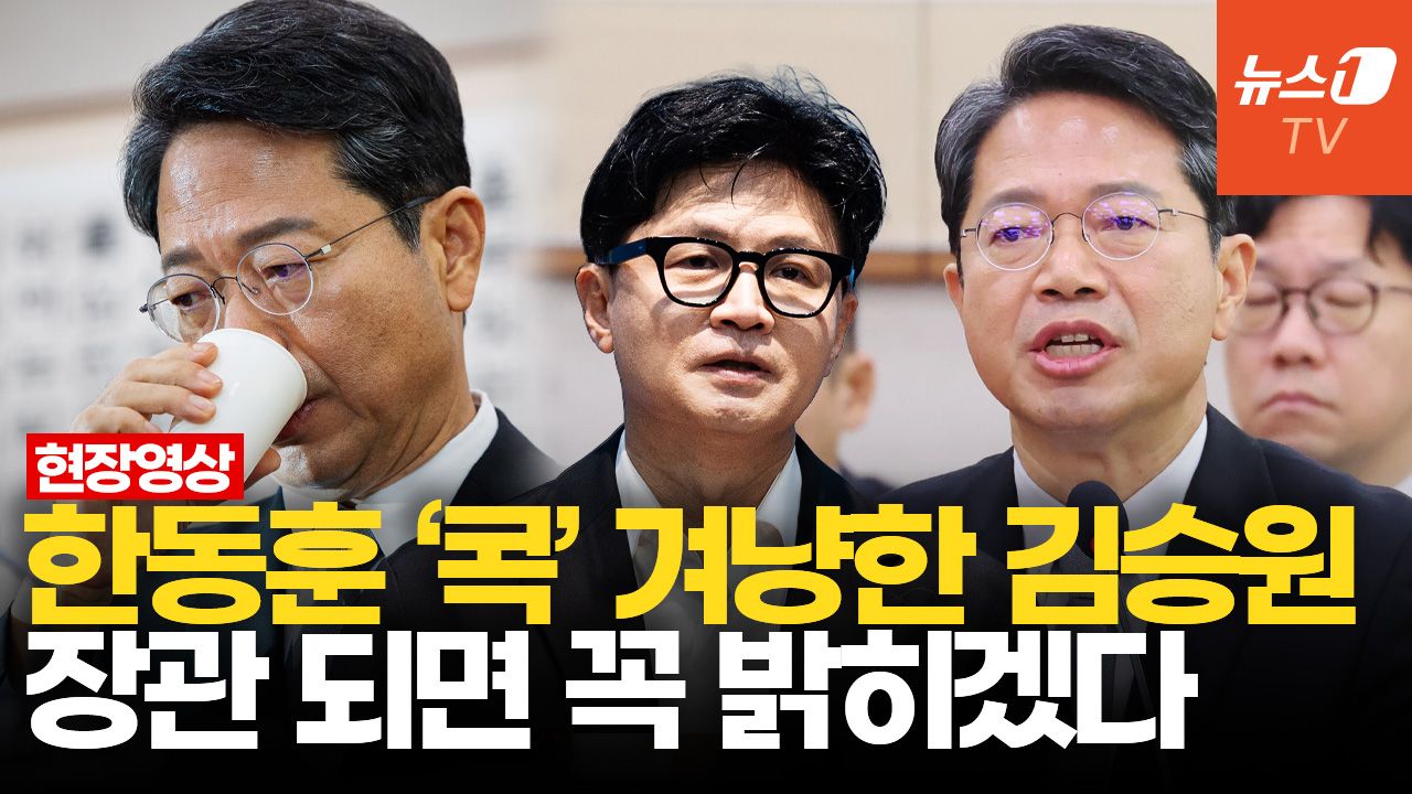 연관비디오 - 김승원 "한동훈에 흘러간 자료, 법무장관 되면 세세히 점검할 것"