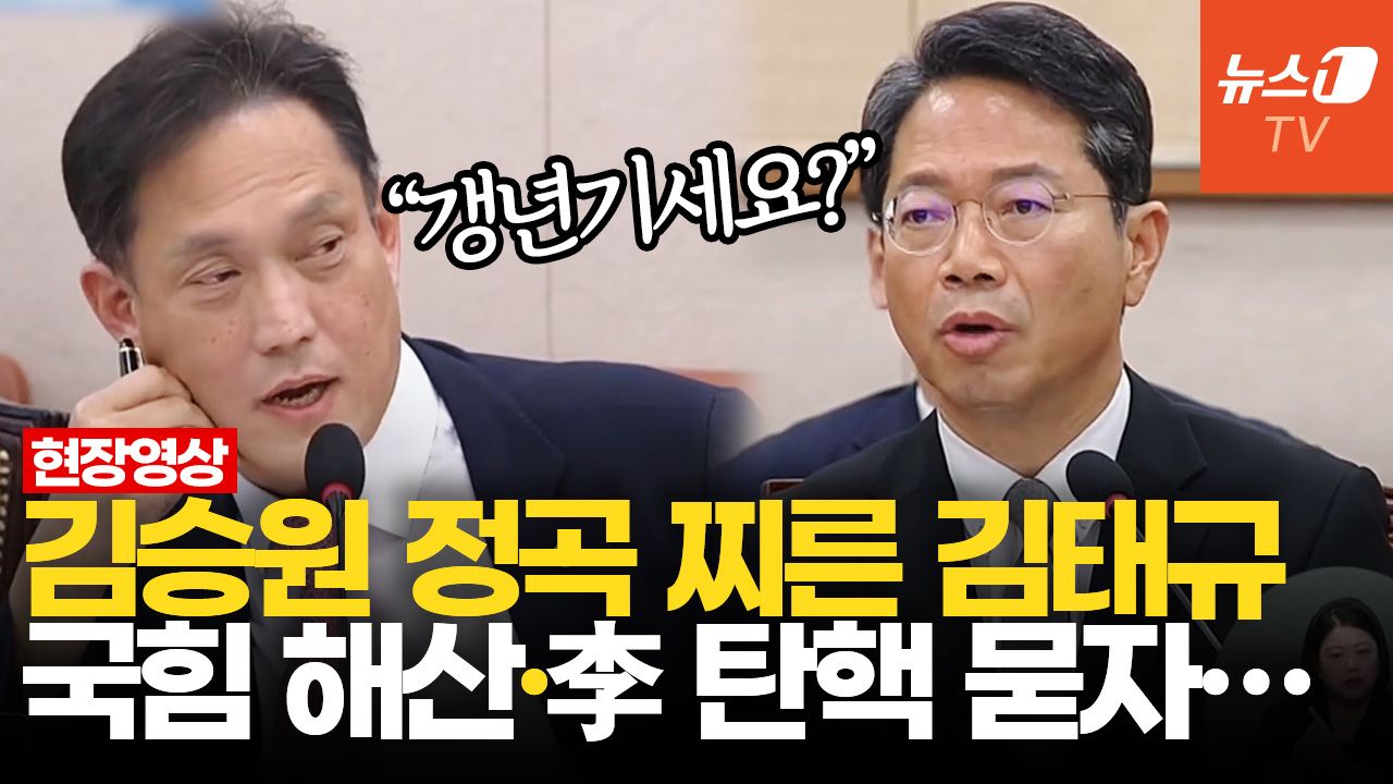 연관비디오 - "국힘 해산 검토? 李 대통령 탄핵은요?"…김태규 송곳 질문에 김승원 답변