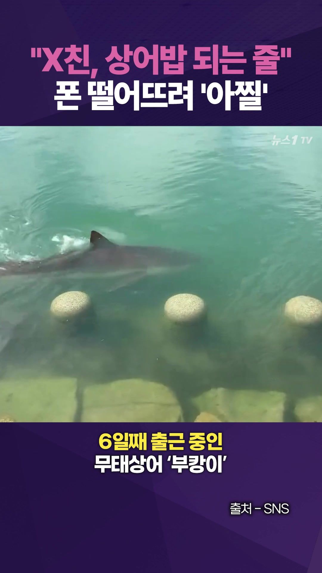 연관비디오 - 부캉이 '밥' 될 뻔…조심 좀 합시다!