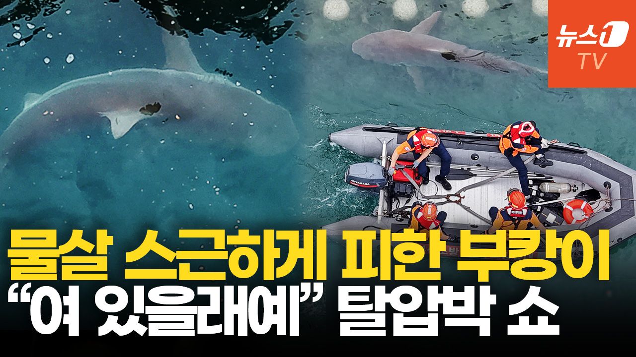 연관비디오 - "부캉아, 10월까지 있을끼가?"…'국대급 탈압박'에 바다행 난항