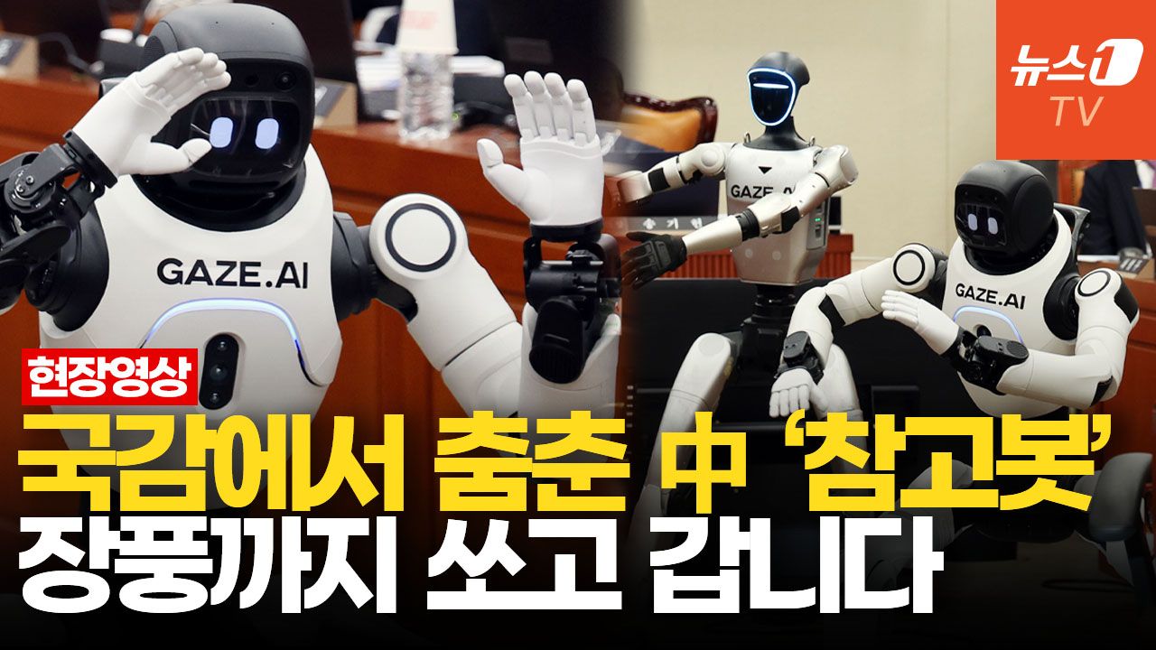 연관비디오 - 휴머노이드 로봇 '막춤'에 폭소 터진 국감장…"이제 그만 퇴장해 주시죠"