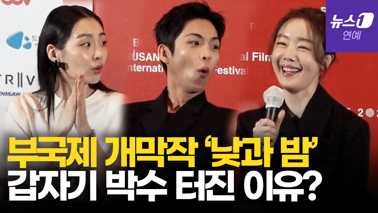 연관비디오 - 고향 부산 찾은 한선화, 부국제 기자회견 중 축하받은 까닭은?
