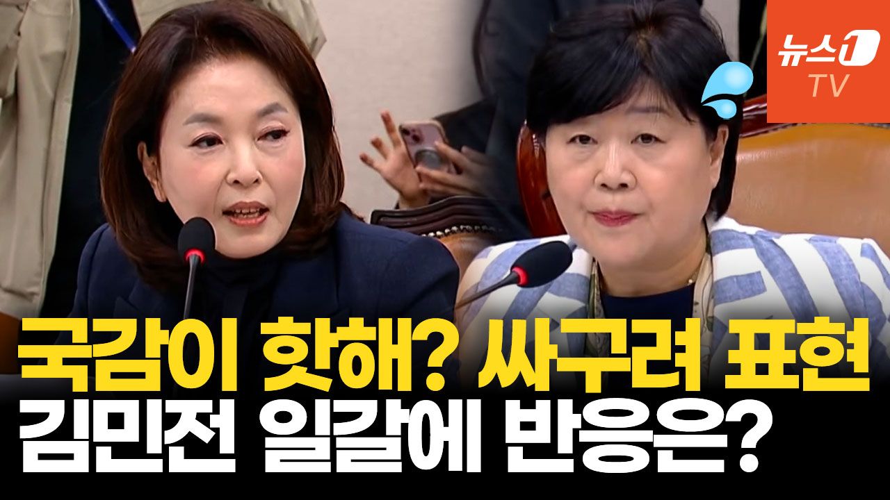 연관비디오 - "국감이 핫하다? 너무나 싸구려 표현" 김민전 직격에 서영교 반응은