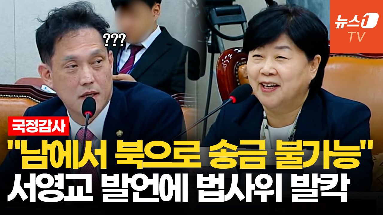 연관비디오 - 서영교 "대북송금은 불가능, 박상용이 만든 프레임"…국힘 의원들 반발