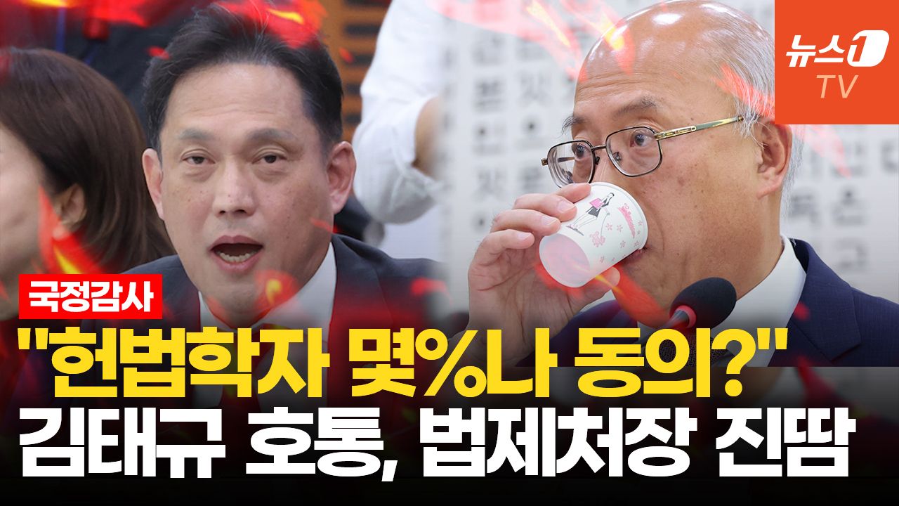 연관비디오 - 김태규, 법제처장에 호통…"재제청 근거 헌법 어디에? 독단적 해석"