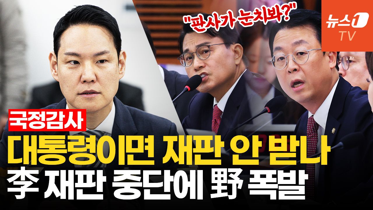 연관비디오 - 李 재판 중단에 국감장 격돌…野 "직무유기" 與 "헌법 따른 결정"