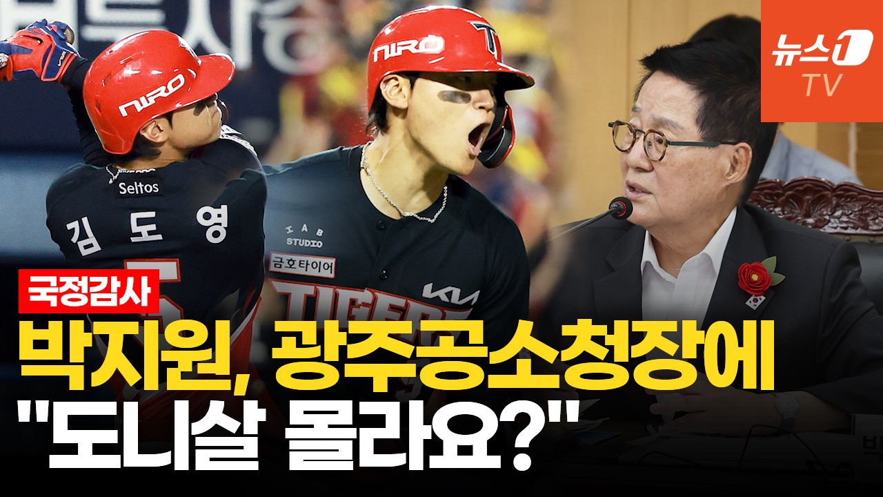 연관비디오 - "도영아 니 땜시 살어야"…국감장에도 등장한 '슈스' 김도영