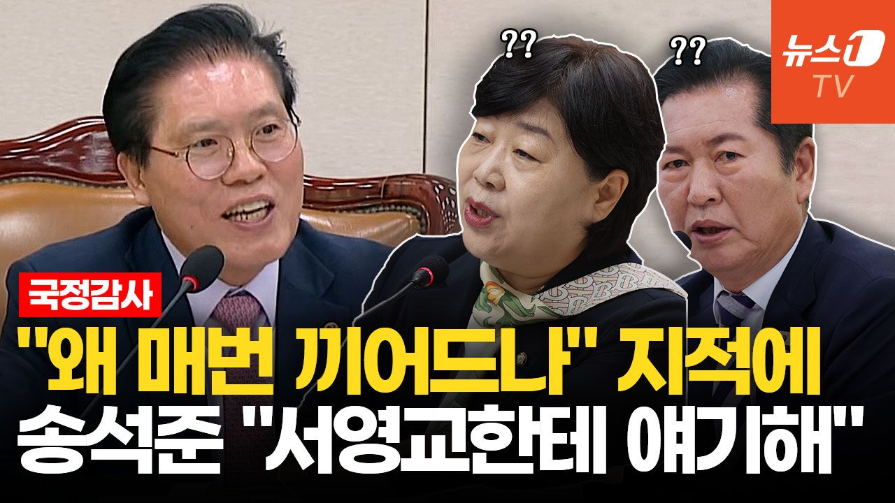 연관비디오 - "정청래·서영교에 물어보라"…송석준 한마디에 '빵' 터진 국감장