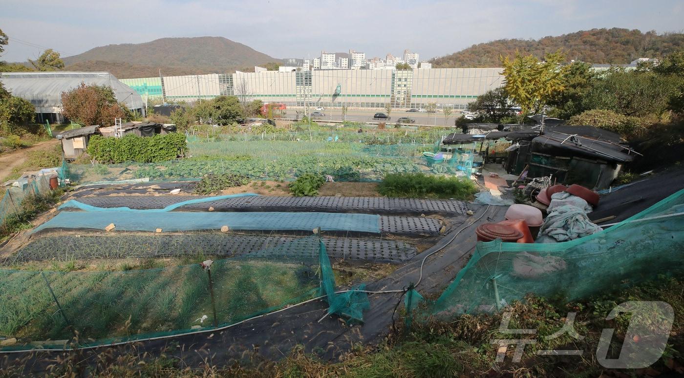 신규 택지지구로 발표된 서울 서초구 원지동 모습. 2024.11.5/뉴스1 ⓒ News1 박세연 기자