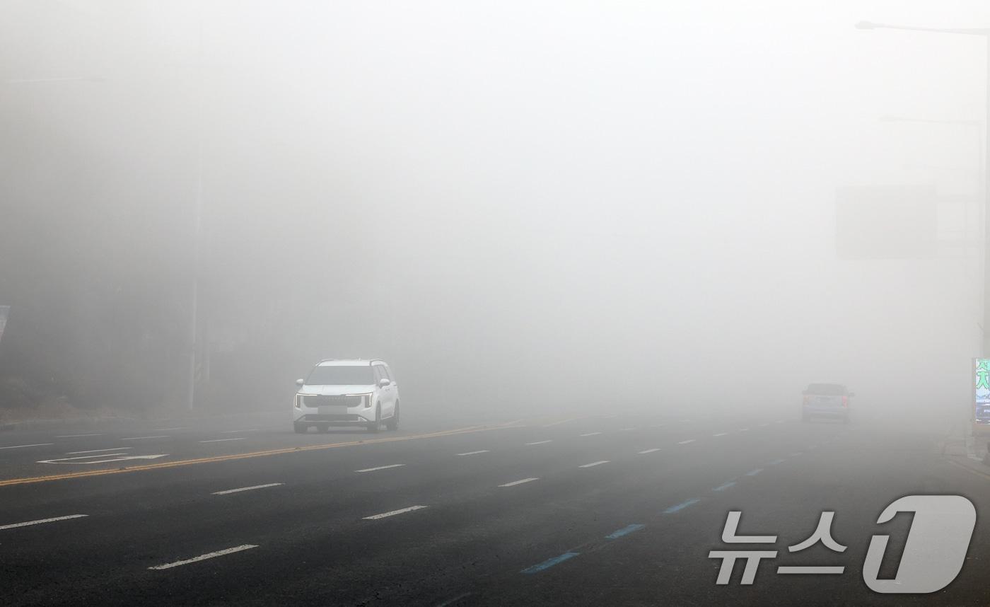 안개낀 도로./뉴스1