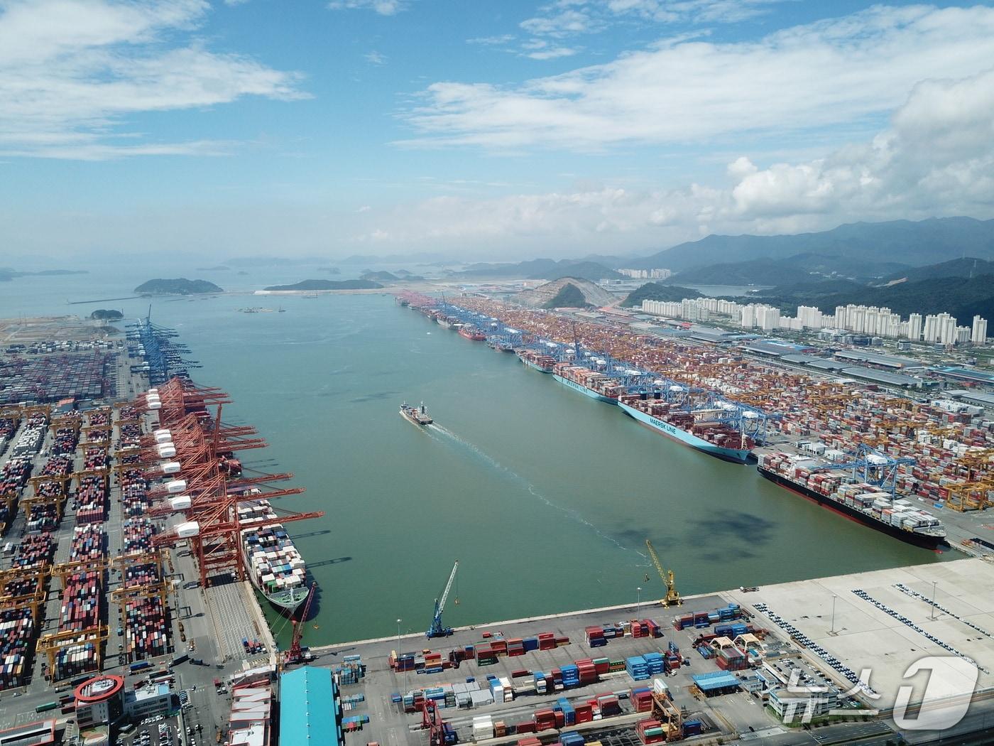 본문 이미지 - 부산항 신항(부산항만공사 제공)