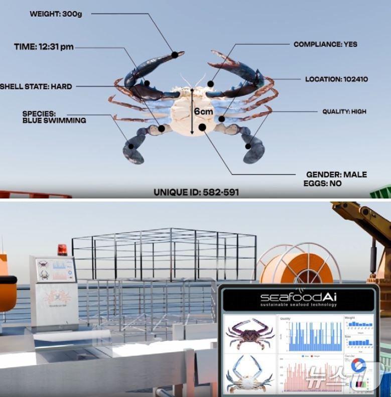 본문 이미지 - 미국 시푸드AI사의 크랩스캔360으로 스캐닝된 게의 분류(위쪽)와 개발중인 온보드 제품(출처:시푸드AI 누리집)