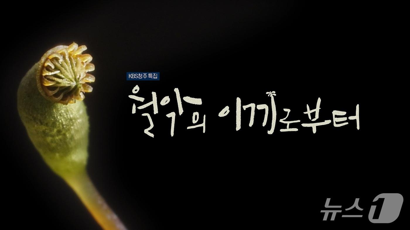 KBS청주 특집 다큐멘터리 월악의 이끼로부터(캐논코리아 제공)