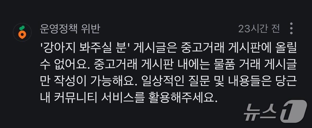 본문 이미지 - 당근 중고거래 게시판에 '강아지 봐주실 분'이란 제목으로 게시글 등록을 시도하자 운영정책 위반으로 글을 올릴 수 없다는 알림이 왔다. (당근 애플리케이션 갈무리)