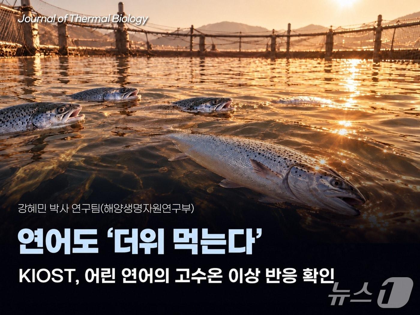 본문 이미지 - (한국해양과학기술원 제공)