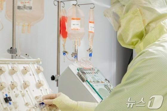 본문 이미지 - 한 연구 관계자가 세포유전자 치료제를 연구하고 있다. (이엔셀 제공)