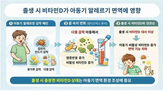 본문 이미지 - 출생 시 비타민D가 아동기 면역 환경에 미치는 영향 모식도(질병청 제공)