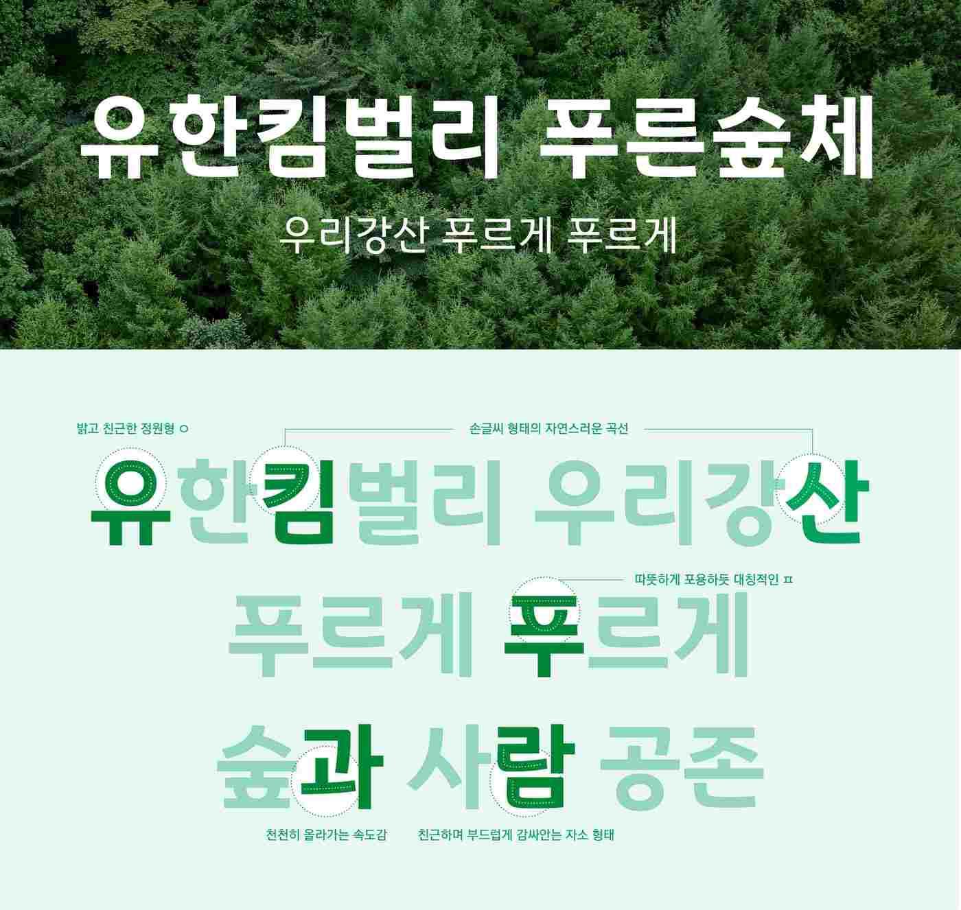 본문 이미지 - 유한킴벌리 푸른숲체(유한킴벌리 제공)
