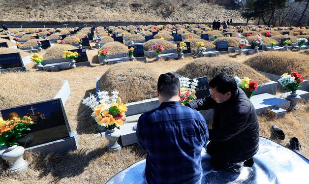 병오년 설날 성묘하는 성묘객들