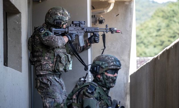 6.25전쟁 67주년 맞아 열린 '2017년 통일훈련' - 뉴스1